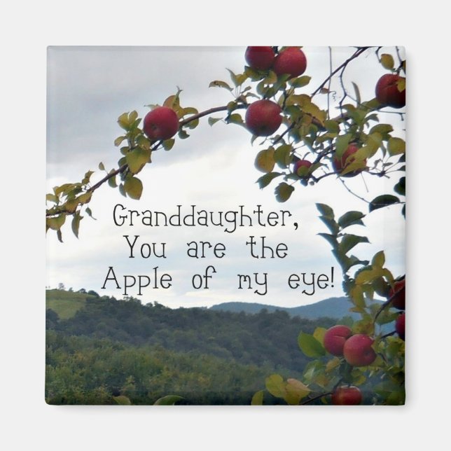 Granddaughter, You are the Apple of my eye! Magnet (Front)