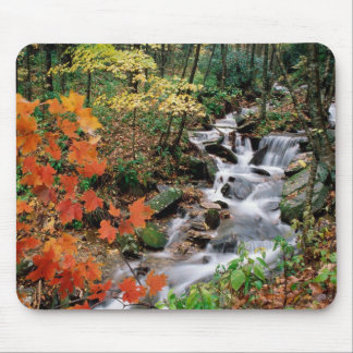 Grandfather Mountain Falls Mouse Mat