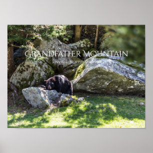 Grandfather Mountain Poster