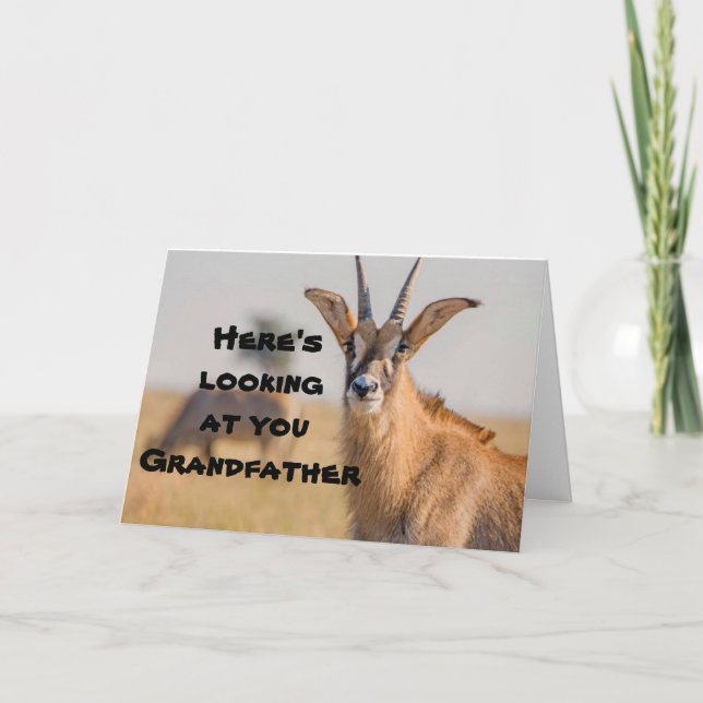 "GRANDFATHER" WHO HUNTS - FUN FATHER'S DAY  CARD (Front)