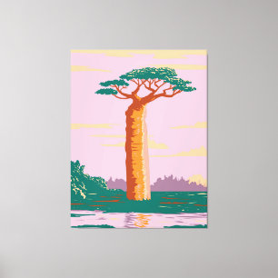 Grandidiers Baobab Canvas Print