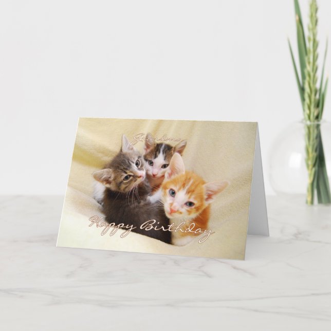 Grandma Happy Birthday Trio of Kittens Card (Front)