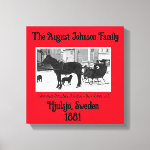Grandma Johnson  Canvas Print