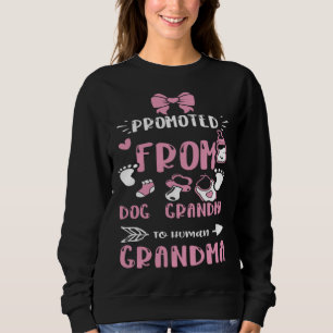 Grandma Promoted From Dog Grandma To Human Gra Ba Sweatshirt
