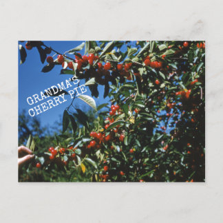 Grandma's Cherry Pie Recipe Postcard