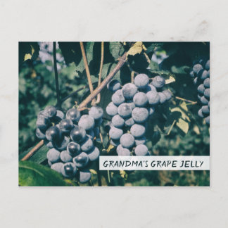 Grandma's Grape Jelly Recipe Purple Grapes Jam Postcard