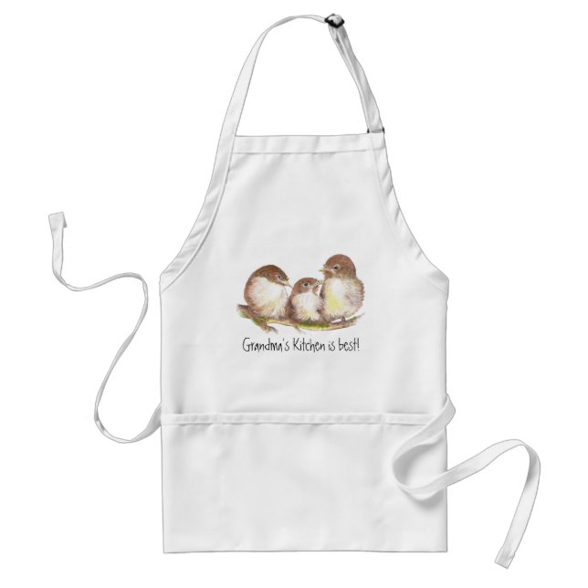 Grandma's Kitchen is Best ,Cute Family of Birds, Standard Apron (Front)