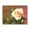 Grandma's Rose Postcard