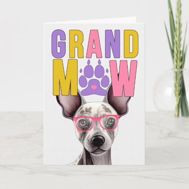 GrandMAW Hairless Terrier Funny Grandparents Day Holiday Card (Front)