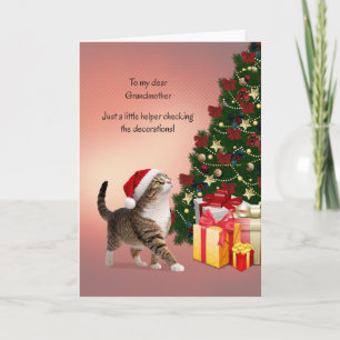 Grandmother with Cat in a Christmas Hat Holiday Card