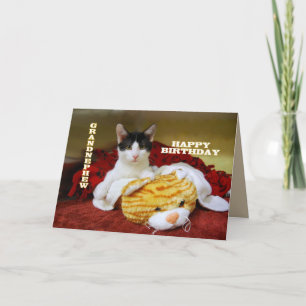 Grandnephew Happy Birthday Kitten with Toy Tiger Card