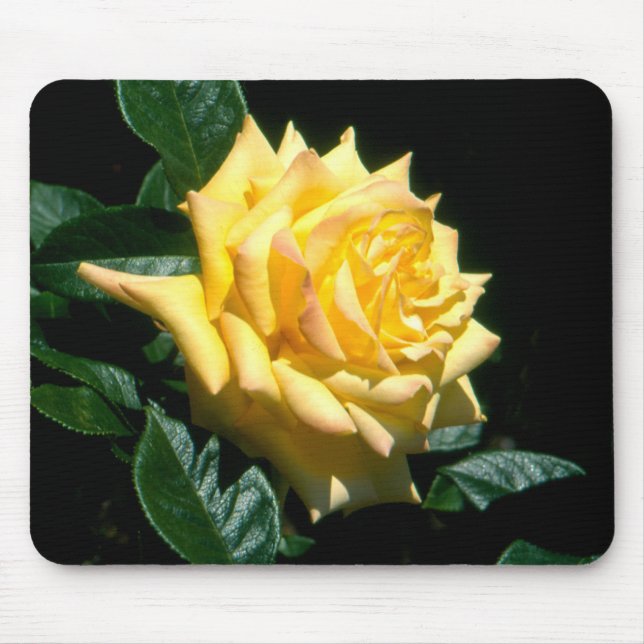 Grandpa Dickson Mouse Mat (Front)