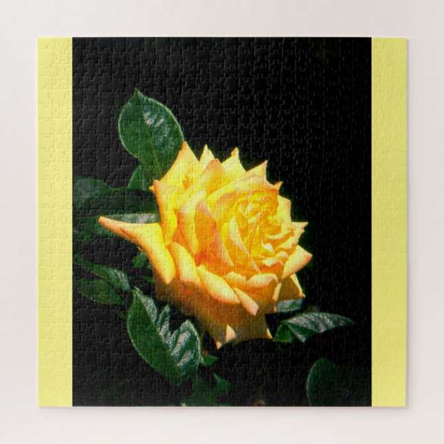 Grandpa Dickson yellow rose Jigsaw Puzzle (Vertical)