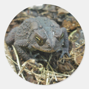 Grandpa Toad Sticker