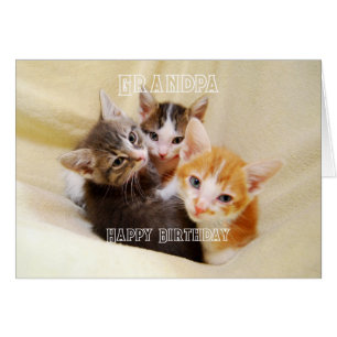 Grandpa, Warm and Fuzzy Kitten Trio Happy Birthday