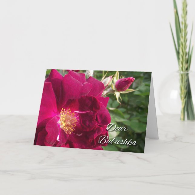 Grandparents Day for Babushka, Red Rose and Bud Card (Front)