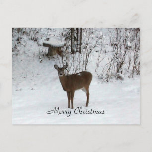 Grandparent's Merry Christmas Deer Holiday Postcard