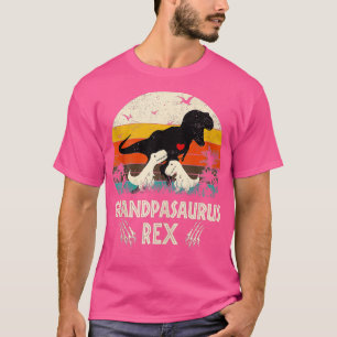 Grandpasaurus T rex Dinosaur Grandpa Saurus Father T-Shirt