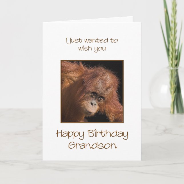 Grandson Birthday, Orang Utan Card (Front)