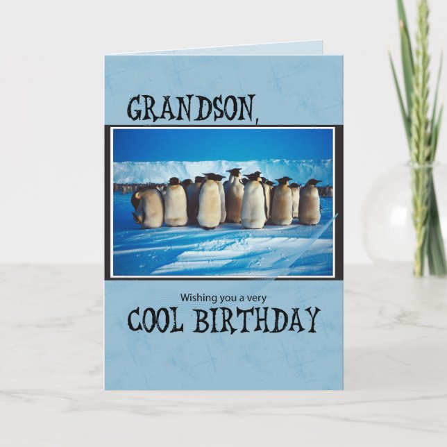 Grandson Birthday, Penguins Card (Front)