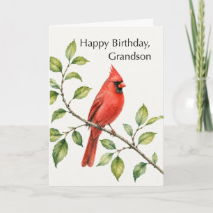 Grandson Birthday Red Cardinal on Branch Card
