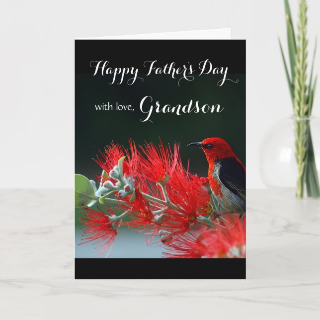 Grandson / Happy Father's Day - Scarlet Honeyeater Card (Front)