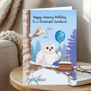 Grandson Happy January Birthday Snowy Owl Card