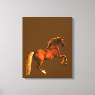 Grandson of the Godolphin Arabian Canvas Print