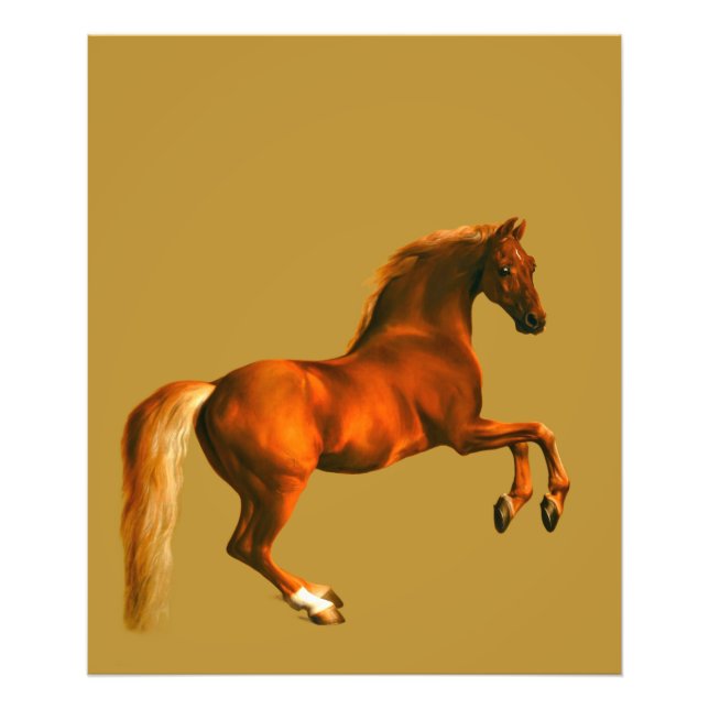 Grandson of the Godolphin Arabian Photo Print (Front)