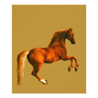 Grandson of the Godolphin Arabian