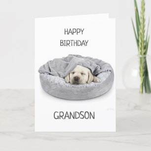 GRANDSON ON BIRTHDAY! CARD