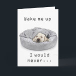 GRANDSON ON BIRTHDAY! CARD<br><div class="desc">THANK U FOR STOPPING BY ONE OF MY EIGHT STORES!!!!</div>