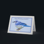 Grandson's Birthday Card with Blue Jay Bird<br><div class="desc">This lovely Blue Jay looks peaceful with his crest,  which normally stands upright,  lying down against his head.  He makes a lovely birthday greeting card.</div>