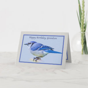 Grandson's Birthday Card with Blue Jay Bird