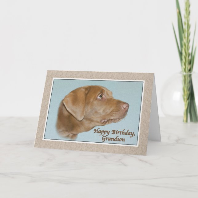 Grandson's Birthday Card with Labrador Dog (Front)