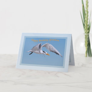 Grandson's Birthday Card with Royal Tern Bird