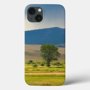 Granite County Montana iPhone 13 Case