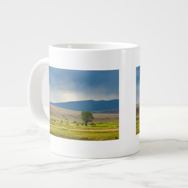 Granite County Montana Large Coffee Mug (Front Left)