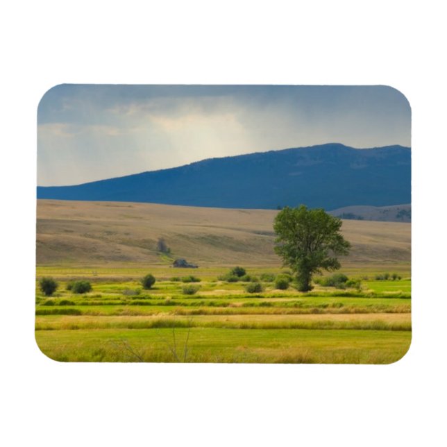 Granite County Montana Magnet (Horizontal)