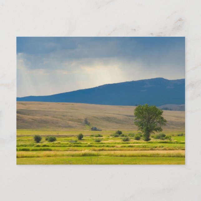 Granite County Montana Postcard (Front)