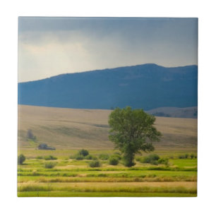 Granite County Montana Tile