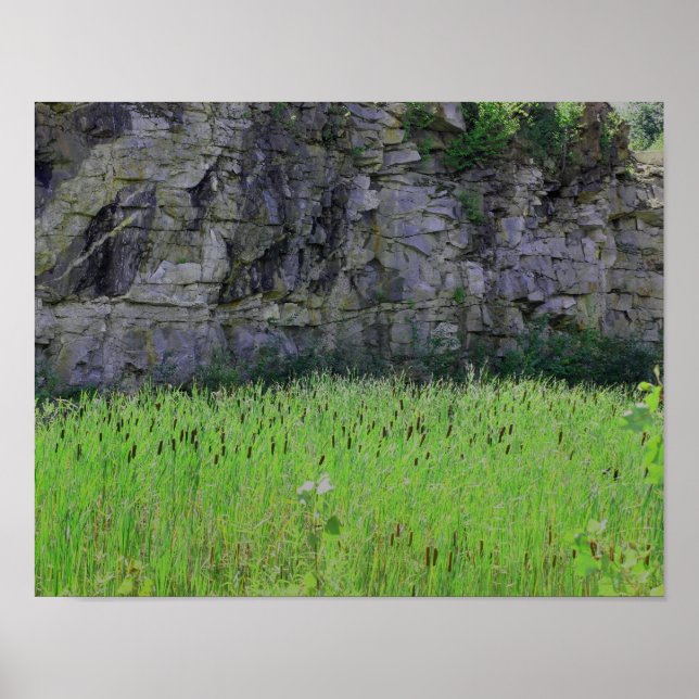 Granite Quarry Rock Cliff Wall Cattails Nature Poster (Front)