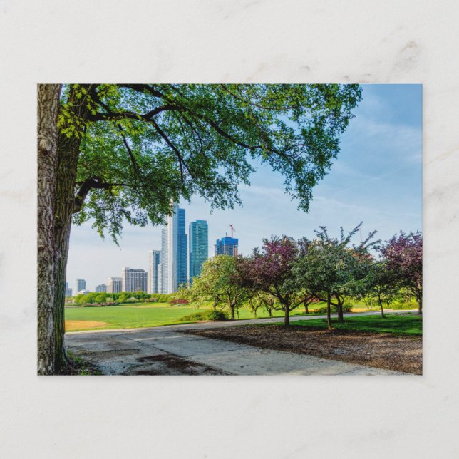 Grant Park Morning Walk Postcard (Front)