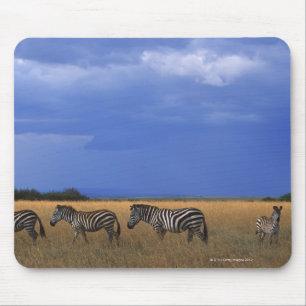 Grant Zebra 2 Mouse Mat
