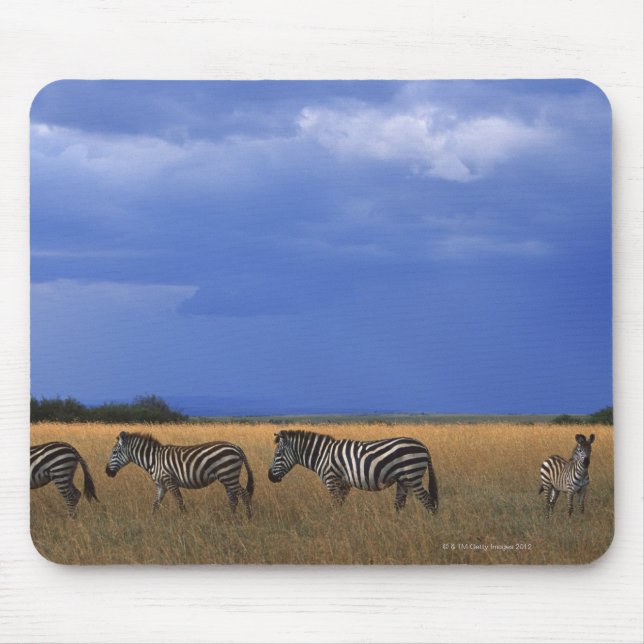 Grant Zebra 2 Mouse Mat (Front)