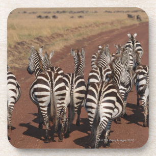 Grant Zebra 4 Coaster