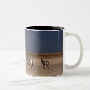 Grant Zebra 4 Two-Tone Coffee Mug