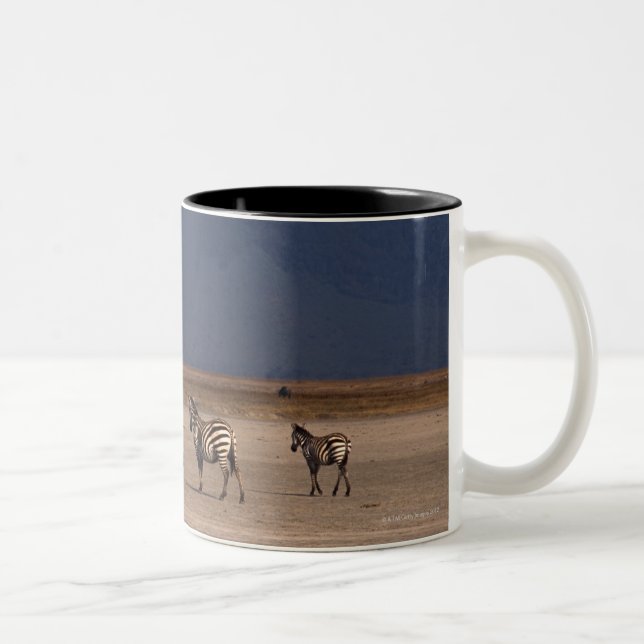 Grant Zebra 4 Two-Tone Coffee Mug (Right)