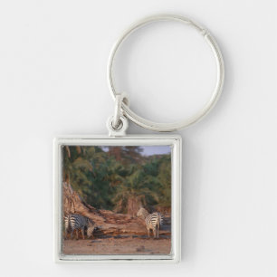 Grant Zebra 5 Key Ring