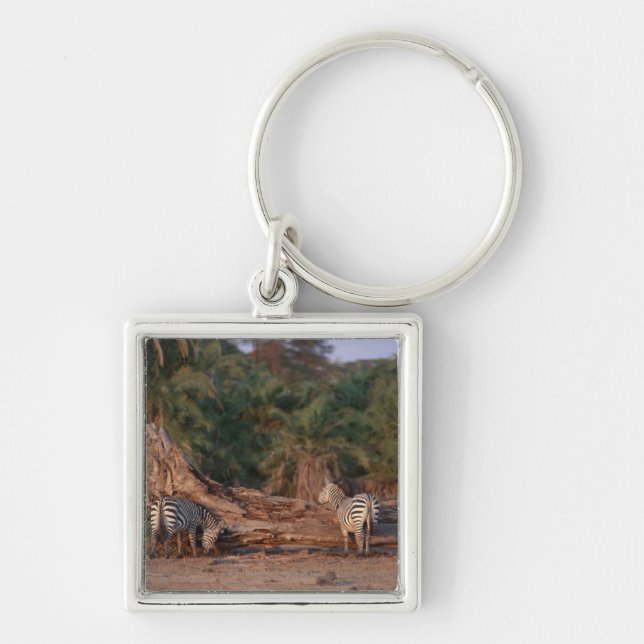 Grant Zebra 5 Key Ring (Front)